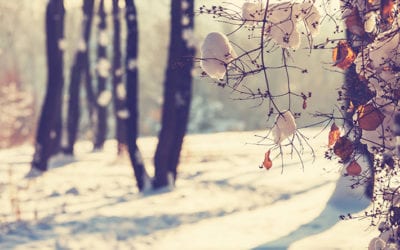 How Cold Temperatures Affect Your Locks in Michigan | Mobile Locksmith Services