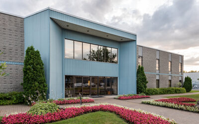 3 Commercial Door Locks to Consider for Your Business